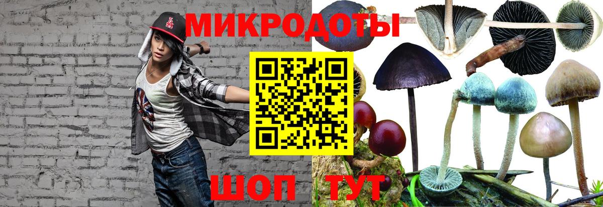 Черкесск  Галлюциногенные грибы Psilocybine cubensis  Вход с VPN 